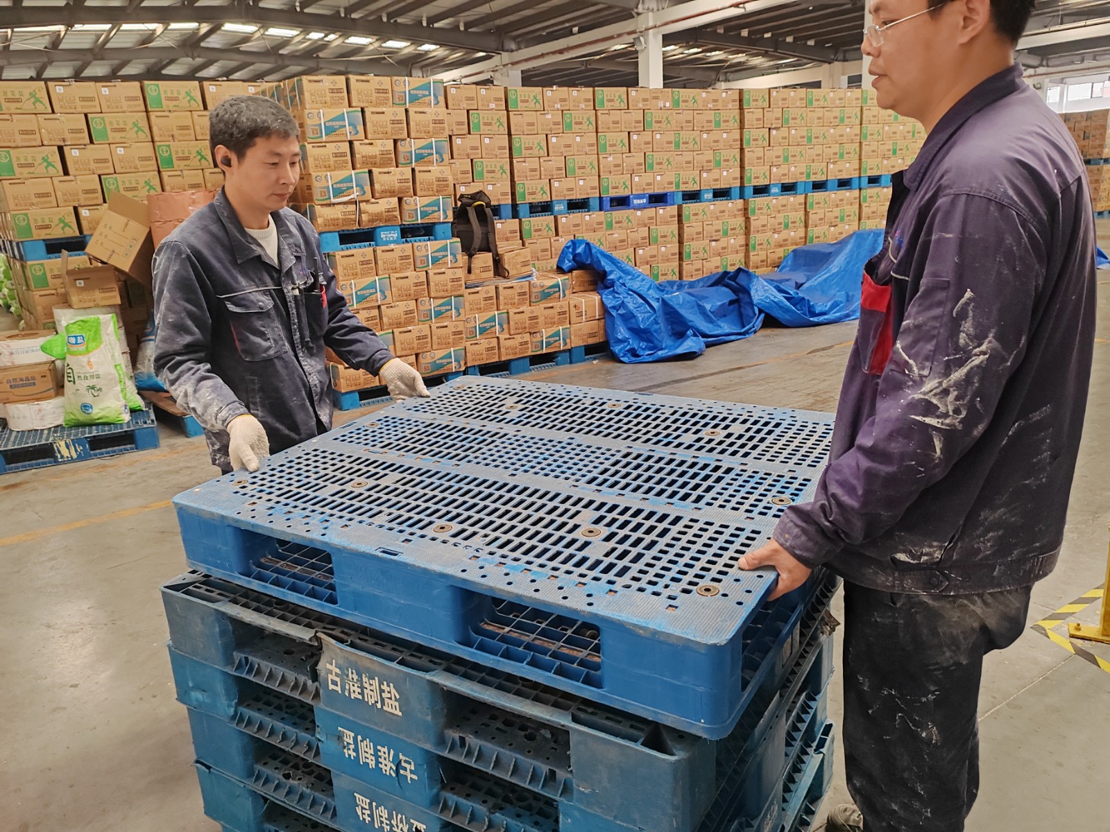 1731478054062 微信圖片_20241113140629